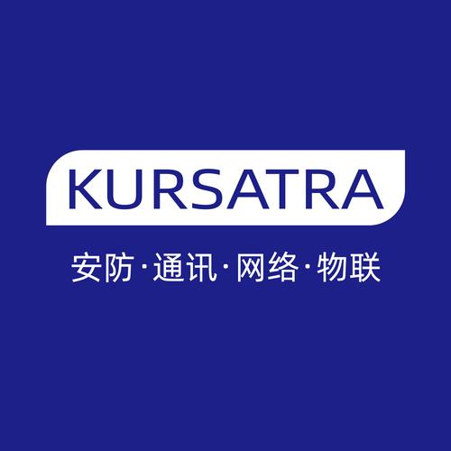 信息技术咨询服务的多元价值与实践路径