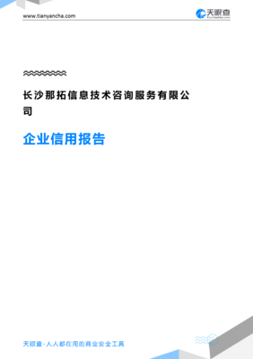 长沙那拓信息技术咨询服务(企业信用报告)- 天眼查